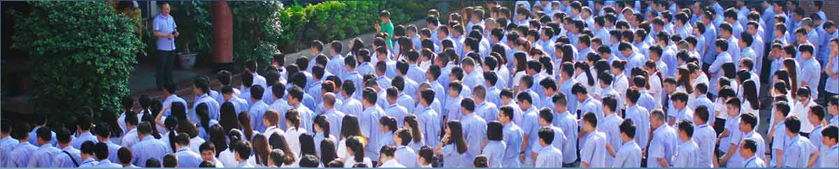 小蝌蚪网站在线观看实力